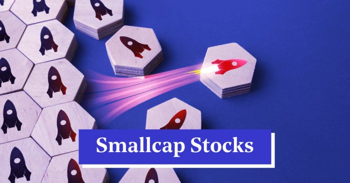 Best Small Cap Stocks in India with High Growth Potential