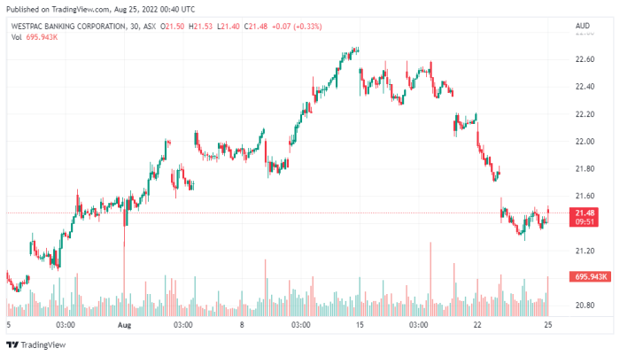Westpac Banking Corp's Dividend Analysis