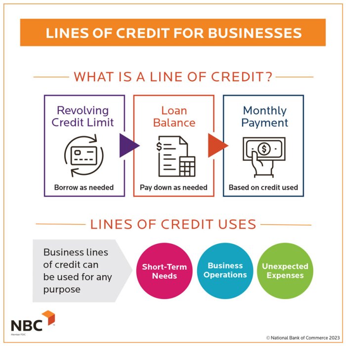 What Is Ez Line Of Credit at Jaime Trujillo blog